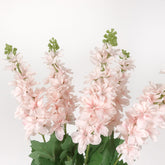 Stock Flower Stem 62cmH